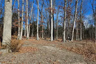 Comforter Ln, Middletown, VA 22645 - Photo 1