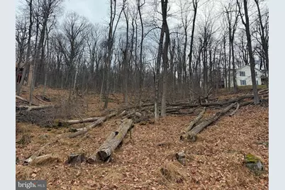 Lot 5 Deer Trail Road, Front Royal, VA 22630 - Photo 1