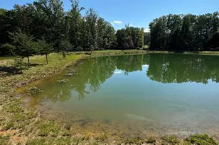 362 Oak Hill Rd, Moorefield, WV 26836 - Photo 43