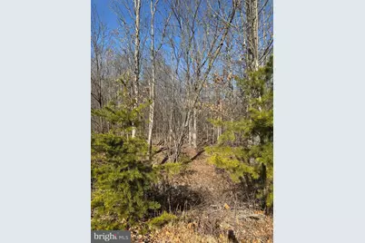 362 Oak Hill Road, Moorefield, WV 26836 - Photo 75