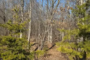 362 Oak Hill Rd, Moorefield, WV 26836 - Photo 75