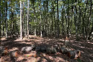 362 Oak Hill Rd, Moorefield, WV 26836 - Photo 49