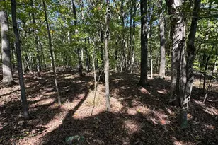 362 Oak Hill Rd, Moorefield, WV 26836 - Photo 51