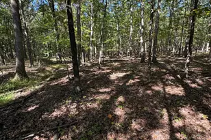 362 Oak Hill Rd, Moorefield, WV 26836 - Photo 35