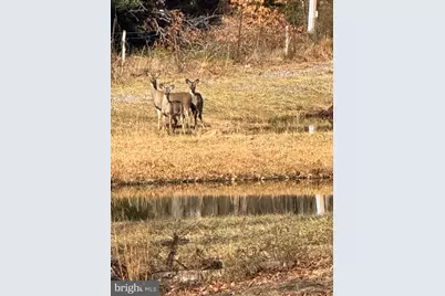 362 Oak Hill Road, Moorefield, WV 26836 - Photo 13