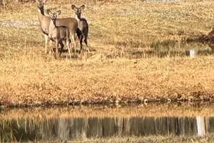 362 Oak Hill Rd, Moorefield, WV 26836 - Photo 13