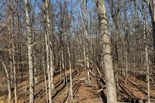 362 Oak Hill Rd, Moorefield, WV 26836 - Photo 63