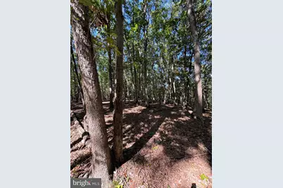 362 Oak Hill Road, Moorefield, WV 26836 - Photo 55