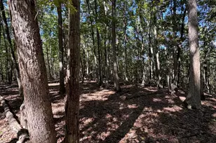 362 Oak Hill Rd, Moorefield, WV 26836 - Photo 55