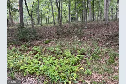 Lot 9 Paradise Road Paradise Road, Wardensville, WV 26851 - Photo 1