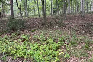 Lot 9 Paradise Road Paradise Rd, Wardensville, WV 26851 - Photo 1