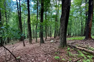 Lot 20 Wits End, Mathias, WV 26812 - Photo 1