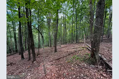 Lot 18B Wits End, Mathias, WV 26812 - Photo 1