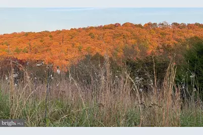 36.02 Ac Parker Hollow Road, Lost River, WV 26810 - Photo 1