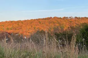 36 02 Ac Parker Hollow Rd, Lost River, WV 26810 - Photo 1