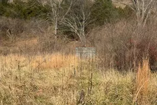 866 Wildlife Dr, Lost City, WV 26810 - Photo 1