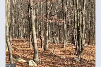 Hutter Road, Fisher, WV 26818 - Photo 1