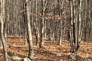 Hutter Rd, Fisher, WV 26818 - Photo 1