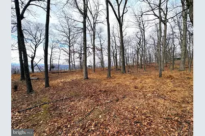 2780 High Knob Road, Old Fields, WV 26845 - Photo 1