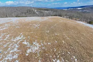 17 55 Shenandoah Mtn Rd, Mathias, WV 26812 - Photo 1