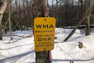 356 Ashton Woods, Moorefield, WV 26836 - Photo 1