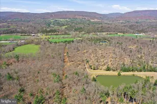 56 Acres Falcon Rd, Mathias, WV 26812 - Photo 1