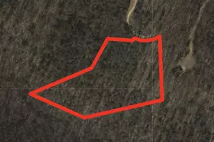 Lot 7 Berry Mountain Ln, Mathias, WV 26812 - Photo 1