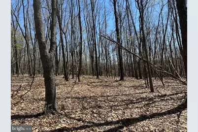 Lot 30 Pear Lane, Romney, WV 26757 - Photo 1