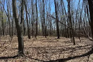 Lot 30 Pear Ln, Romney, WV 26757 - Photo 1