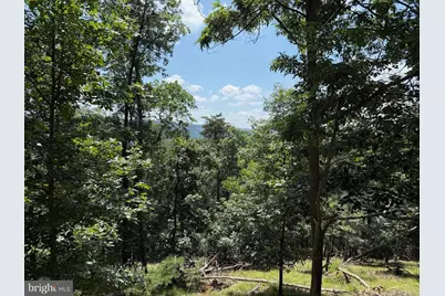 243 Bluffs On The Potomac, Romney, WV 26757 - Photo 1