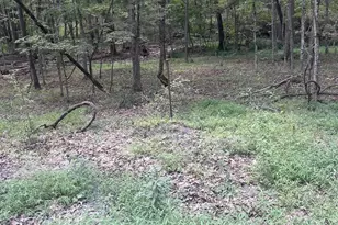 [Address not provided], Bloomery, WV 26817 - Photo 1