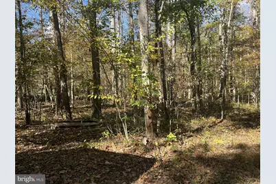 Lot 3B Mack Road, Augusta, WV 26704 - Photo 1