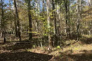 Lot 3B Mack Rd, Augusta, WV 26704 - Photo 1