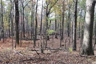 Big Horn Trail, Augusta, WV 26704 - Photo 1