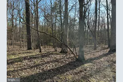 Misty Meadows Lane, Augusta, WV 26704 - Photo 1