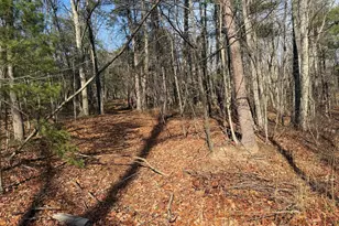 5 Cooper Mountain View, Capon Bridge, WV 26711 - Photo 1