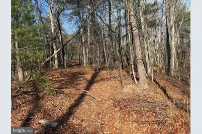 6 Cooper Mountain View, Capon Bridge, WV 26711 - Photo 1