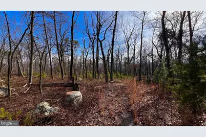 Lot Short Pine Court, Yellow Spring, WV 26865 - Photo 1