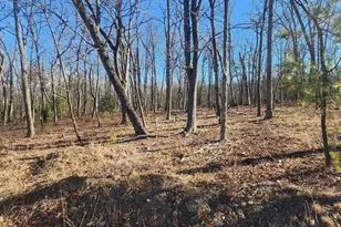 Lot N Pioneer Ln, Augusta, WV 26704 - Photo 1