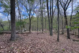5 Ac Beam Rd, Romney, WV 26757 - Photo 1