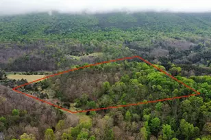 Lot 32 Moose Hollow Rd, Romney, WV 26757 - Photo 1