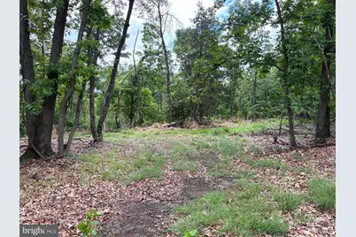 40.15 Ac Middle Ridge Road, Romney, WV 26757 - Photo 1