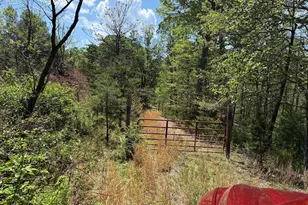Lots 86 Doe Garden Dr, Yellow Spring, WV 26865 - Photo 1