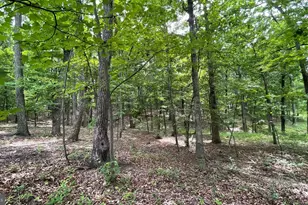 Lot 61 Bristol Springs Way, Slanesville, WV 25444 - Photo 1