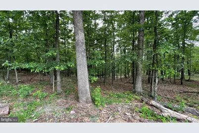 Lots 47-48-49 Bristol Court, Slanesville, WV 25444 - Photo 1