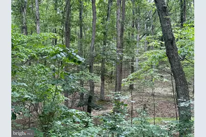 8.34 Acres On Arnold Stickley Rd., Green Spring, WV 26722 - Photo 1