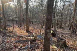 Stone Ridge Rd, Harpers Ferry, WV 25425 - Photo 1