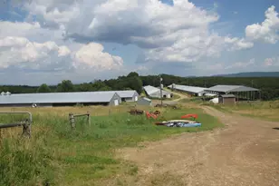 703 Nugget Ln, Keyser, WV 26726 - Photo 1