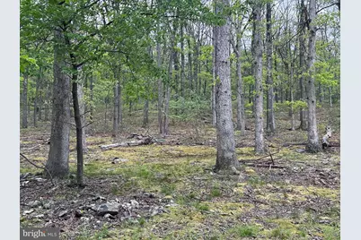 0 Cut Off Road, Keyser, WV 26726 - Photo 1