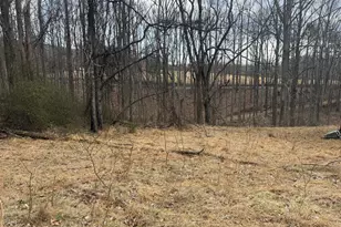 545 Hank Ln, Berkeley Springs, WV 25411 - Photo 1
